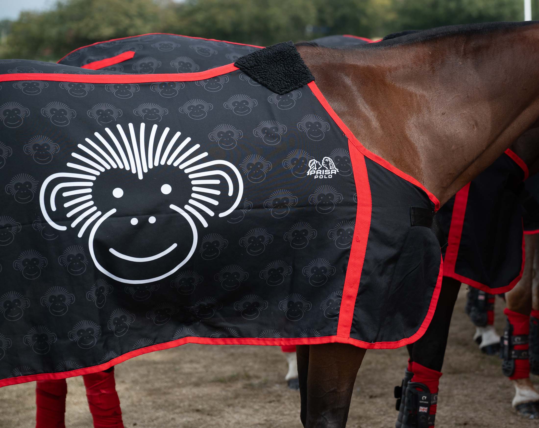 A Mono Polo pony in a branded monkey-logo rug pitchside at Lodsworth